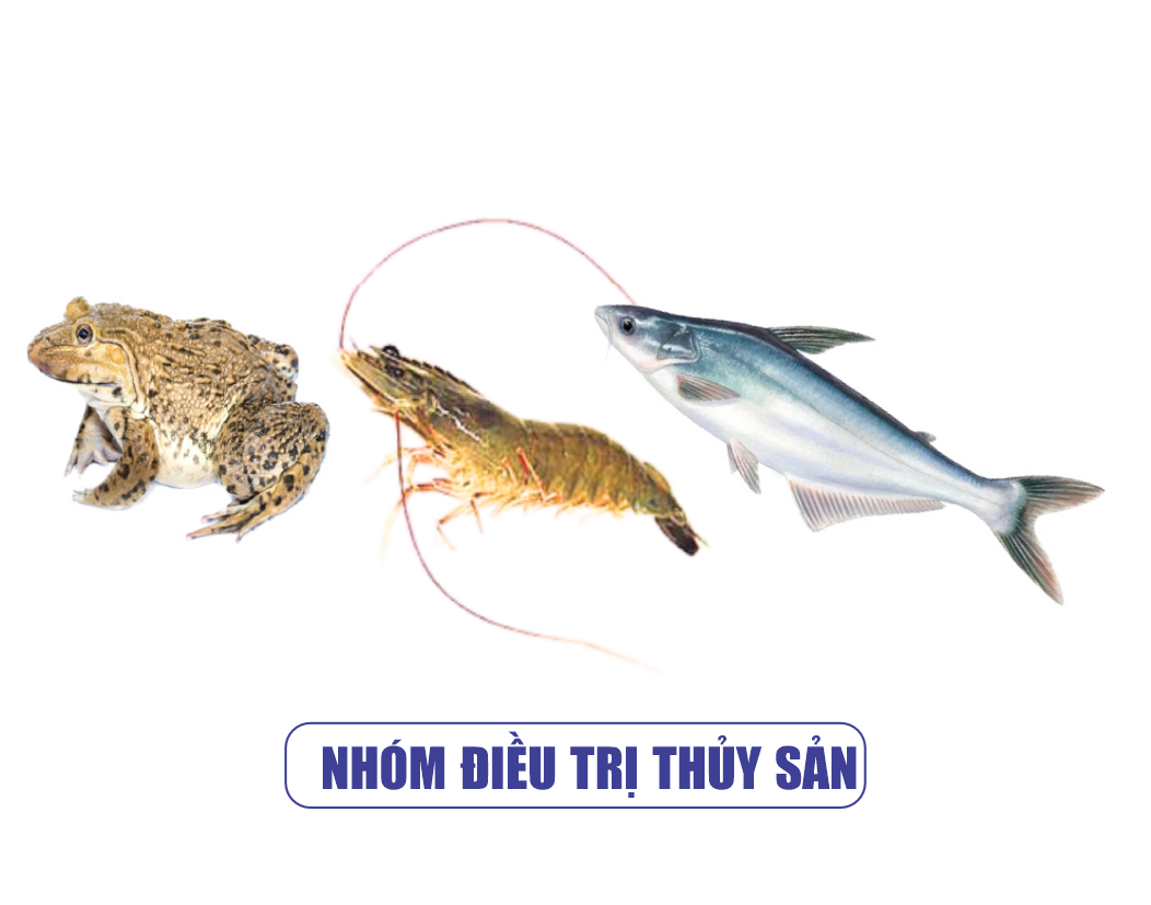 Nhóm Sản phẩm Thủy Sản