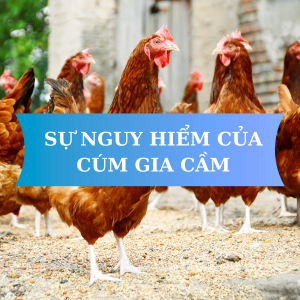 BỆNH CÚM GIA CẦM (Avian Influenza)