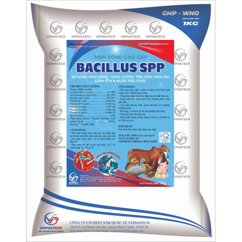 BACILLUS SPP