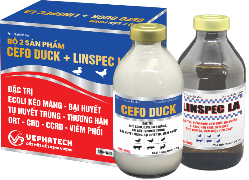 BỘ SẢN PHẨM CEFODUCK +LINSPEC