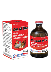 CALCI B12
