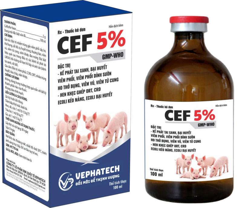CEF 5%