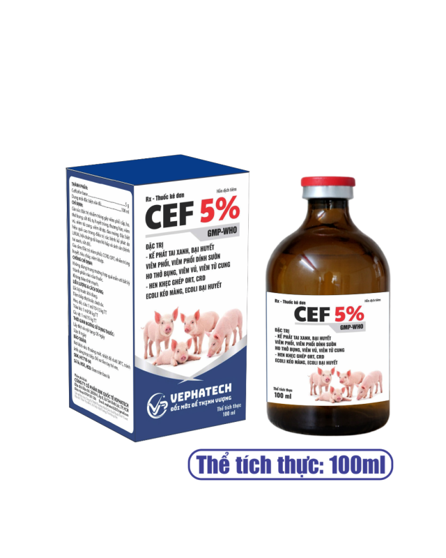 CEF 5%