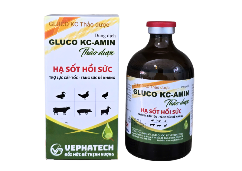 GLUCO KC- AMIN  Thảo Dược
