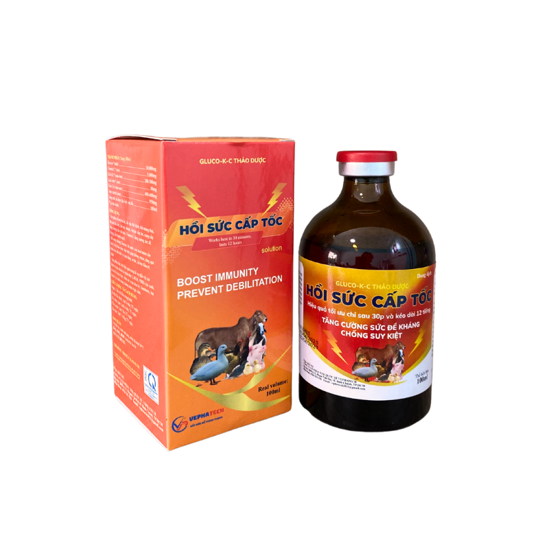 HỒI SỨC CẤP TỐC