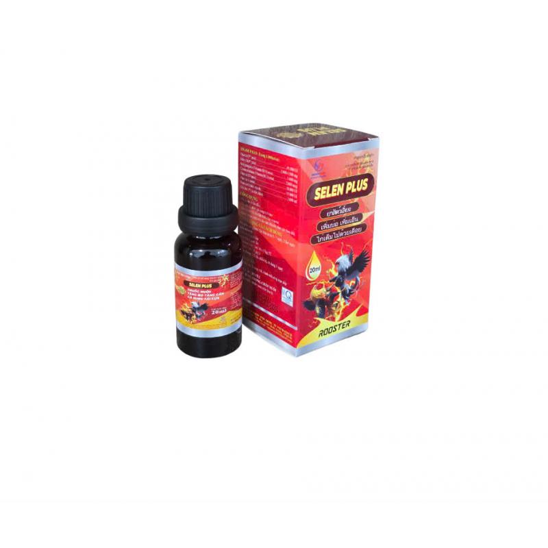 SENLEN PLUS